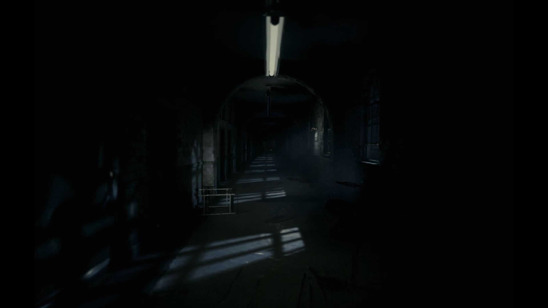 The Inpatient